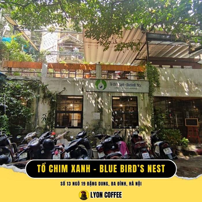 Quán cà phê sách Tổ Chim Xanh Blue Bird’s Nest - Ba Đình Hà Nội