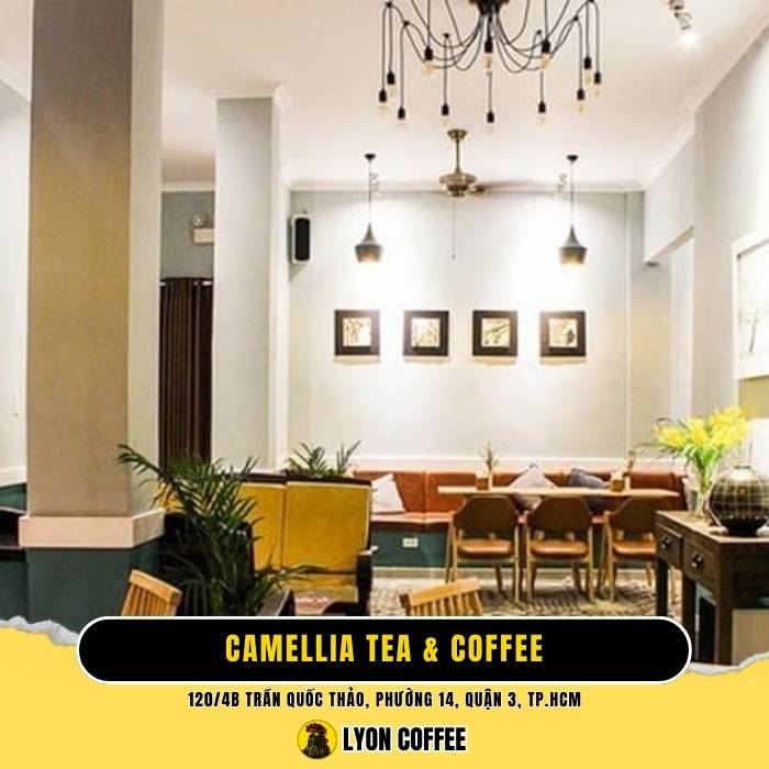 Camellia Tea & Coffee - Quán cà phê quận 3 yên tĩnh