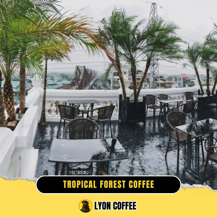 Tropical Forest Coffee - Top quán cafe view đẹp chill ở Hà Nội