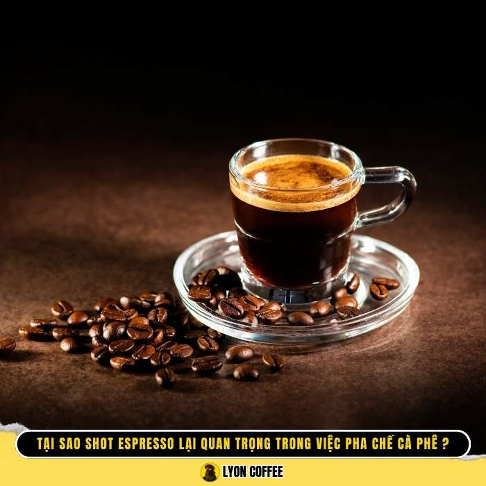 Tại sao shot espresso lại quan trọng trong việc pha chế cà phê?