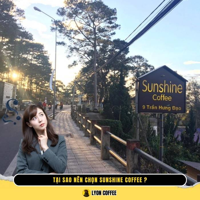 Tại sao nên chọn Sunshine Coffee?