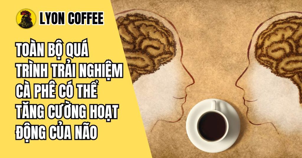 tác động của cà phê lên não bộ