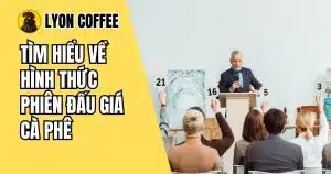 đấu giá cà phê