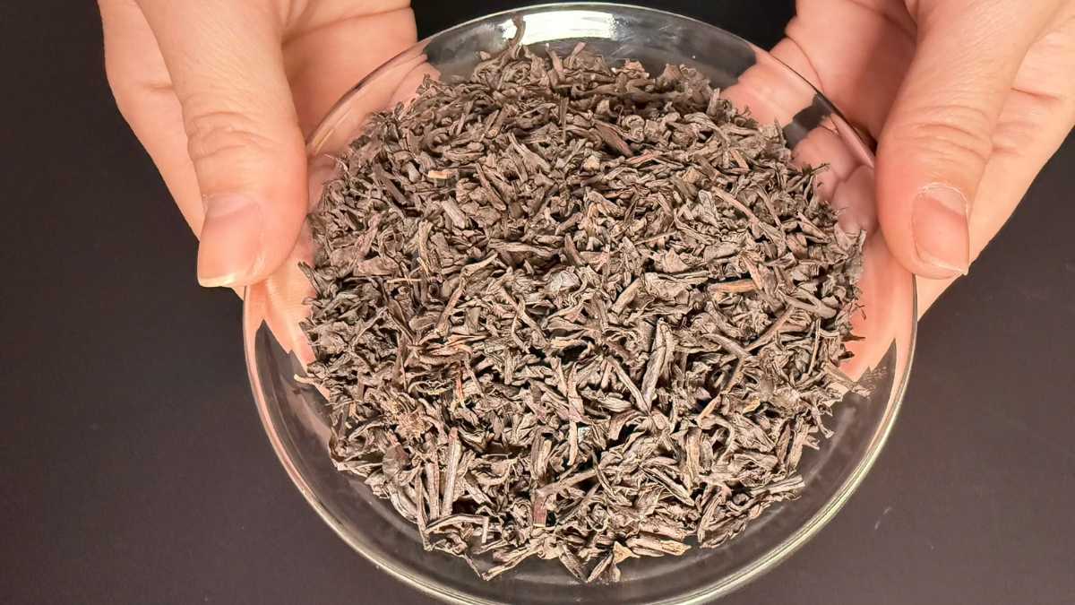 Búp trà đen khô trên nền vải nâu, cạnh cánh hoa lài và chén trà nâu đỏ