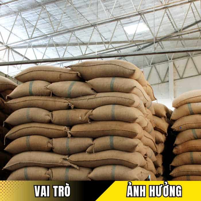 Vai trò của Trịnh Thị Duyên trong ngành cà phê Việt Nam