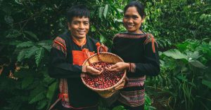 Cà phê Việt Nam hướng đến bền vững