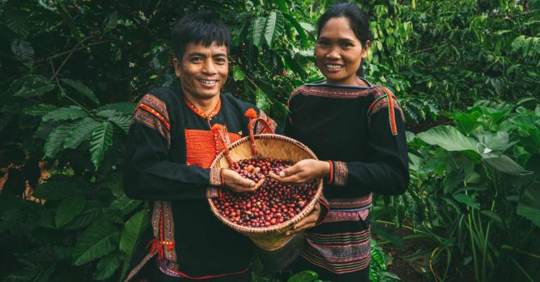 Cà phê Việt Nam hướng đến bền vững