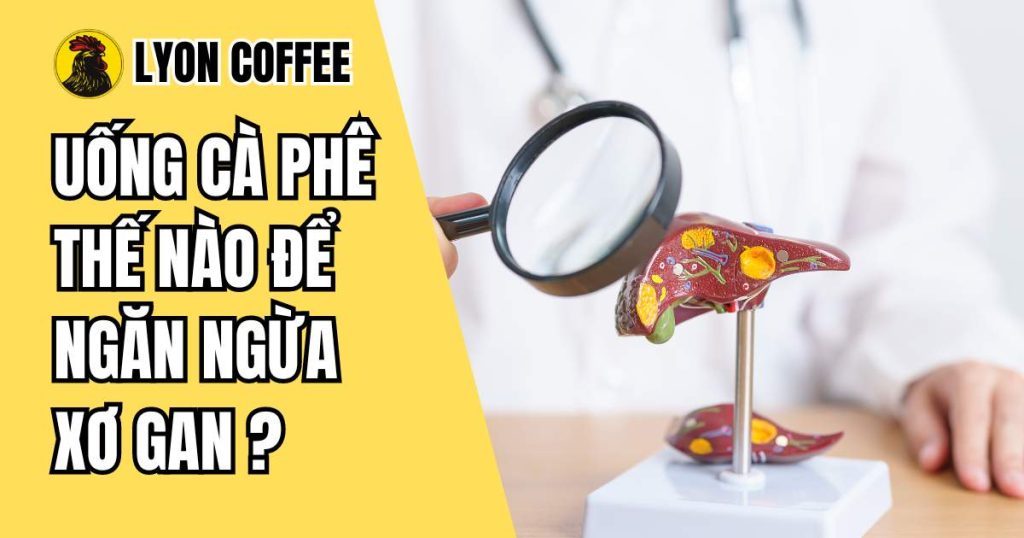 Uống cà phê thế nào để ngăn ngừa xơ gan